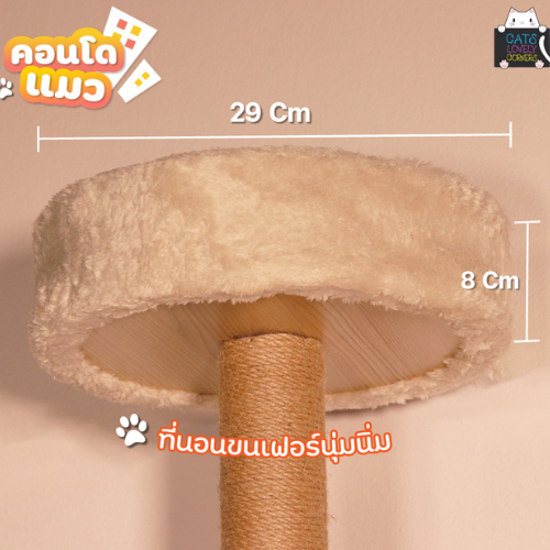 BH-CONDOXM3 - Image 2