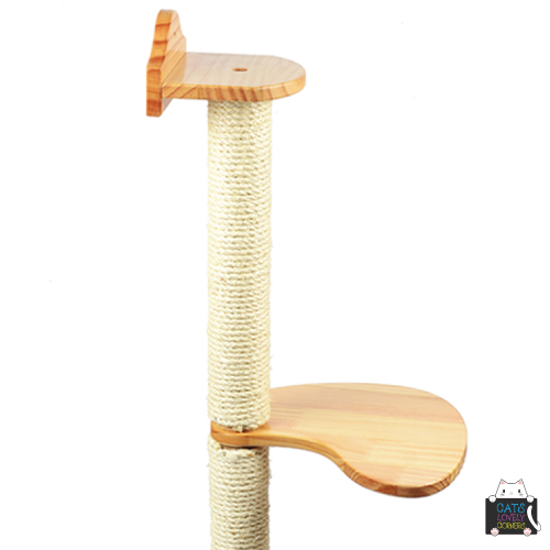 BH-JMZ (4) - Image 3