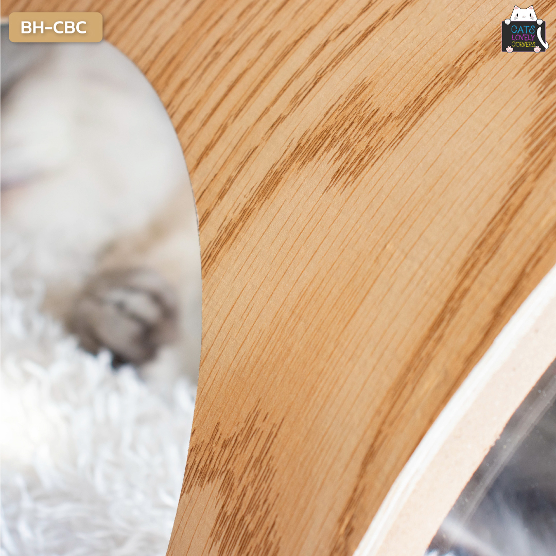 BH-CBC - Image 4