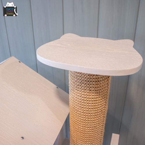 BH-TYBSMPJ - Image 2