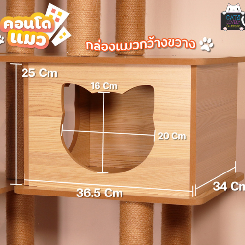 BH-CONDOXM3 - Image 5