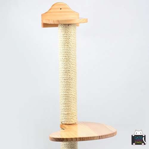 BH-JMZ (4) - Image 5