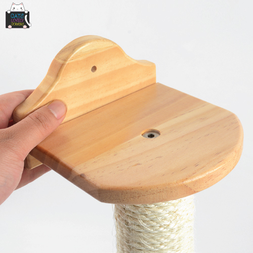 BH-JMZ (3) - Image 3