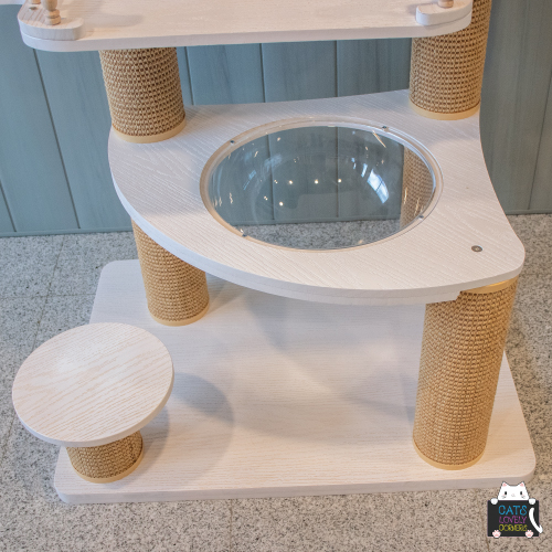 BH-TYBSMPJ - Image 5