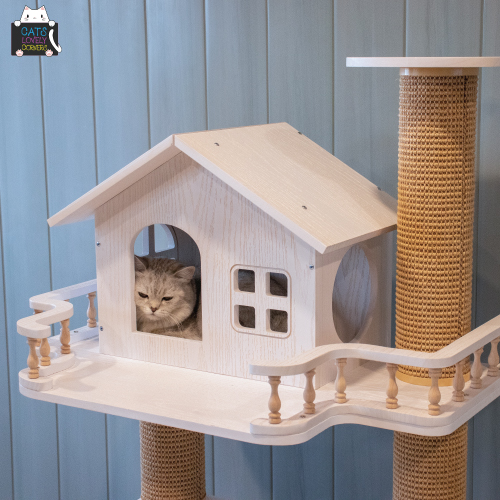 BH-TYBSMPJ - Image 3