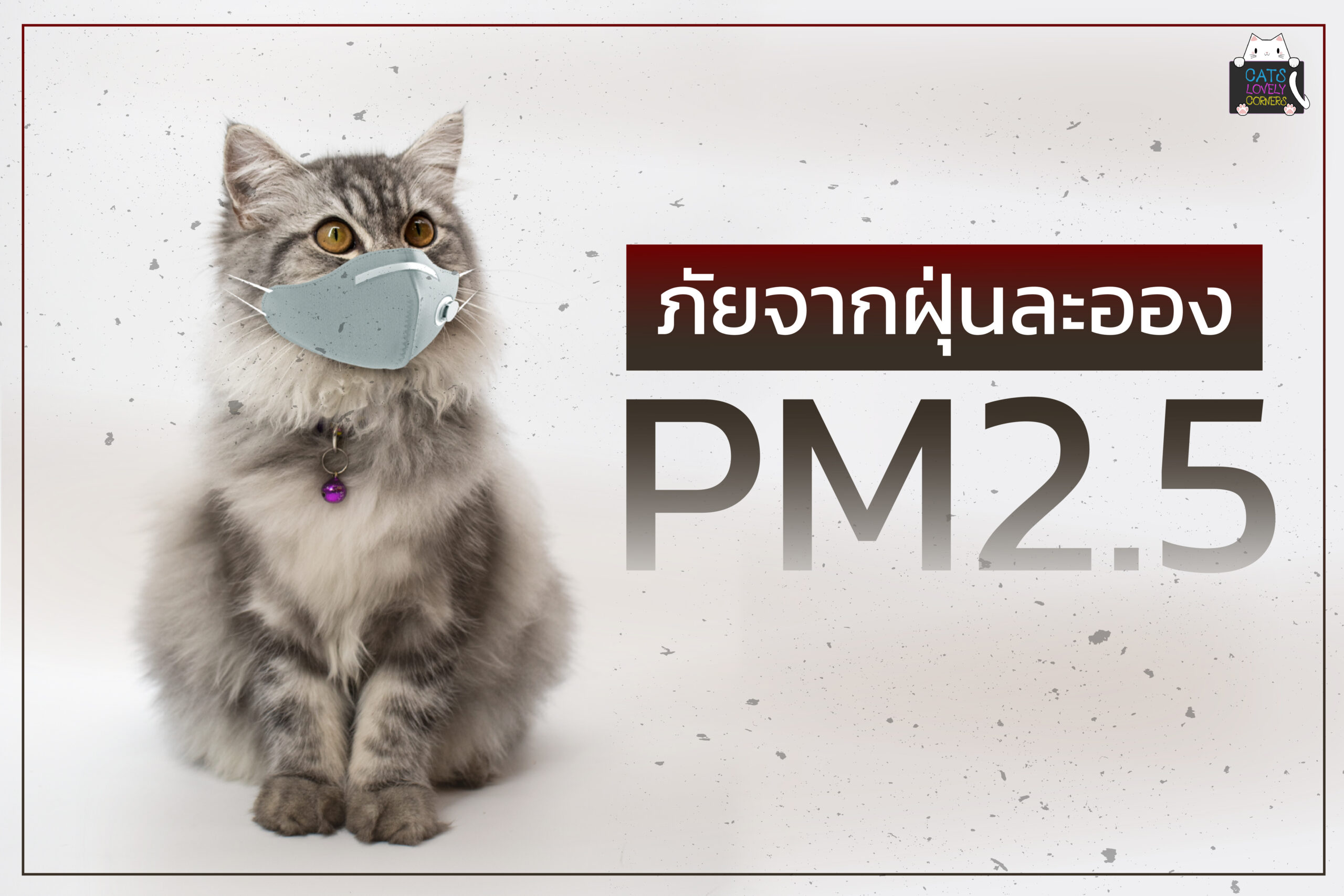 ภัยจากฝุ่นละออง PM 2.5