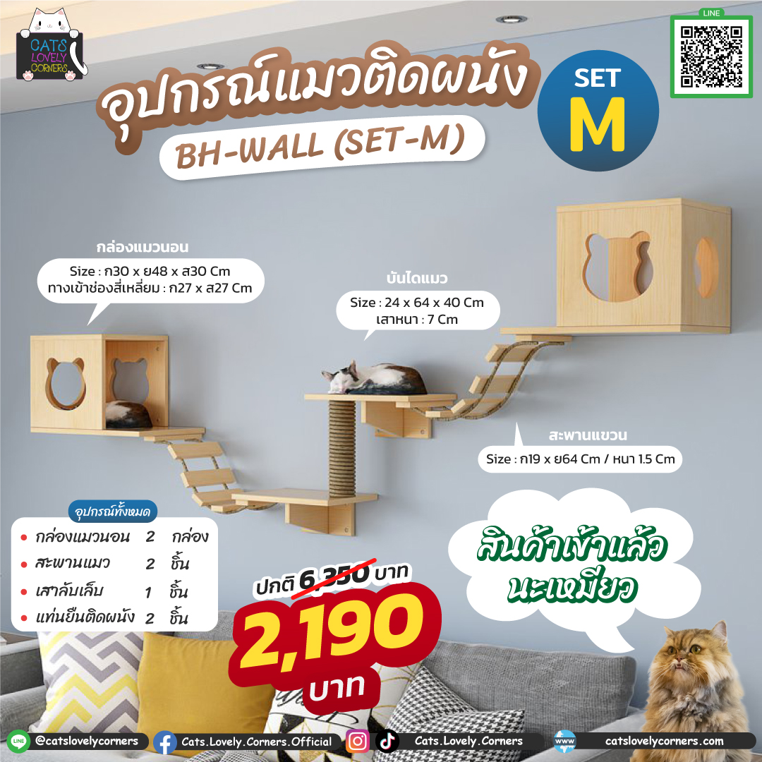 Set-M-มาแล้ว