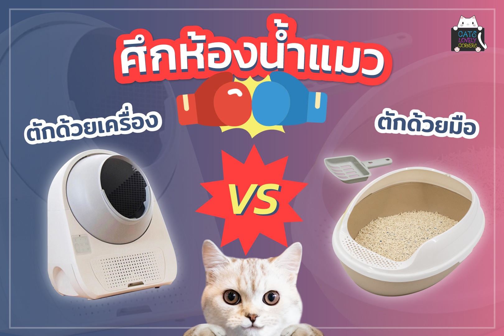 ข้อดีและข้อเสียของห้องน้ำแมวแต่ละแบบ