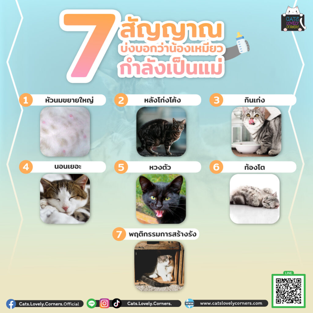 น้องจะทำยังไงนะ อยากรู้เข้ามาอ่านเลยยย