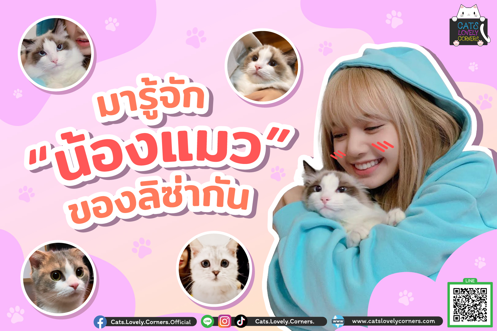 มารู้จักน้องแมวของลิซ่ากัน