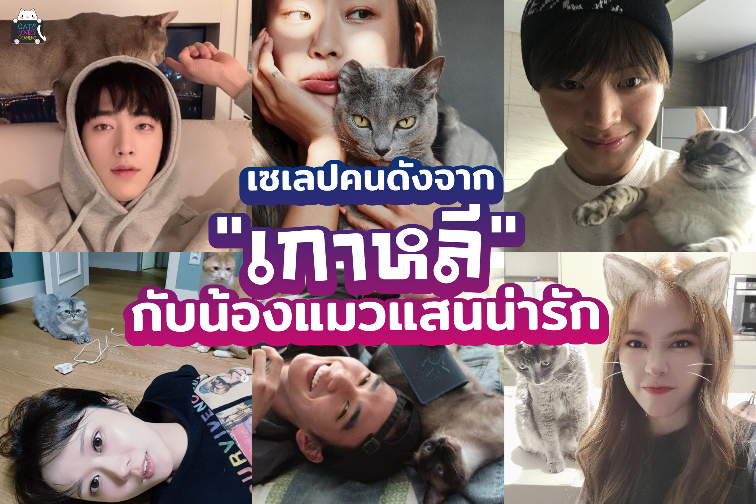 เซเลปคนดังจากเกาหลี กับน้องแมวแสนน่ารัก
